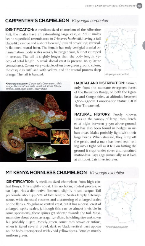 Field Guide to East African Reptiles - Steve Spawls 2018